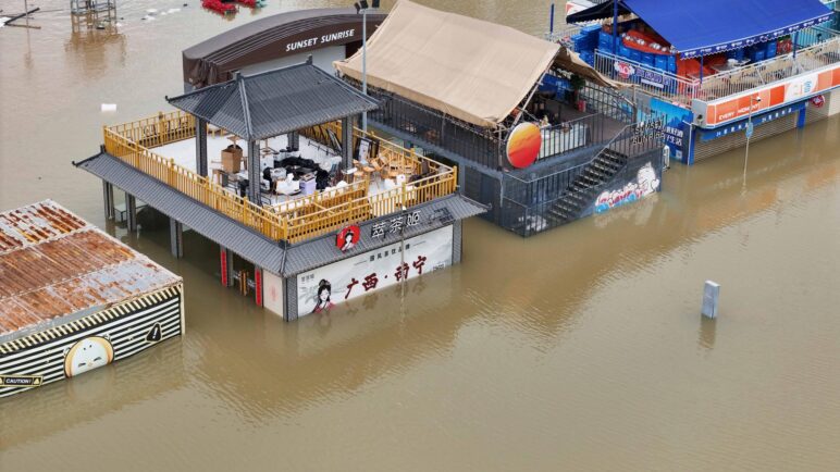 Inundaciones por tifón Maysak liberan 900 serpientes en China; varias son venenosas