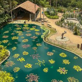 El Jardín Botánico de Cali obtiene importante reconocimiento internacional