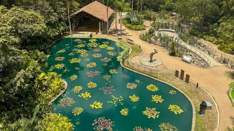 El Jardín Botánico de Cali obtiene importante reconocimiento internacional