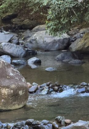 Río Meléndez entra en alerta naranja por disminución de su caudal