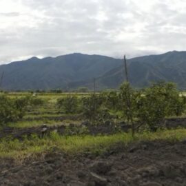 Levantan bloqueos en vías del Valle del Cauca tras acuerdos entre comunidades y el Gobierno
