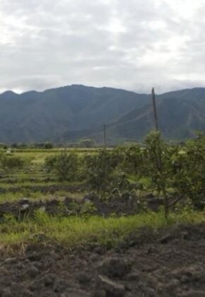 Levantan bloqueos en vías del Valle del Cauca tras acuerdos entre comunidades y el Gobierno