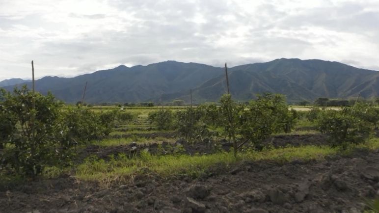 Levantan bloqueos en vías del Valle del Cauca tras acuerdos entre comunidades y el Gobierno